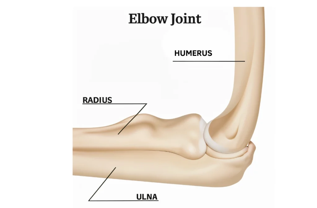 Elbow Fracture Surgery 1 Elbow Fracture Surgery
