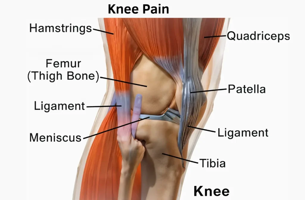 Knee pain in ladies 1 Knee pain in ladies