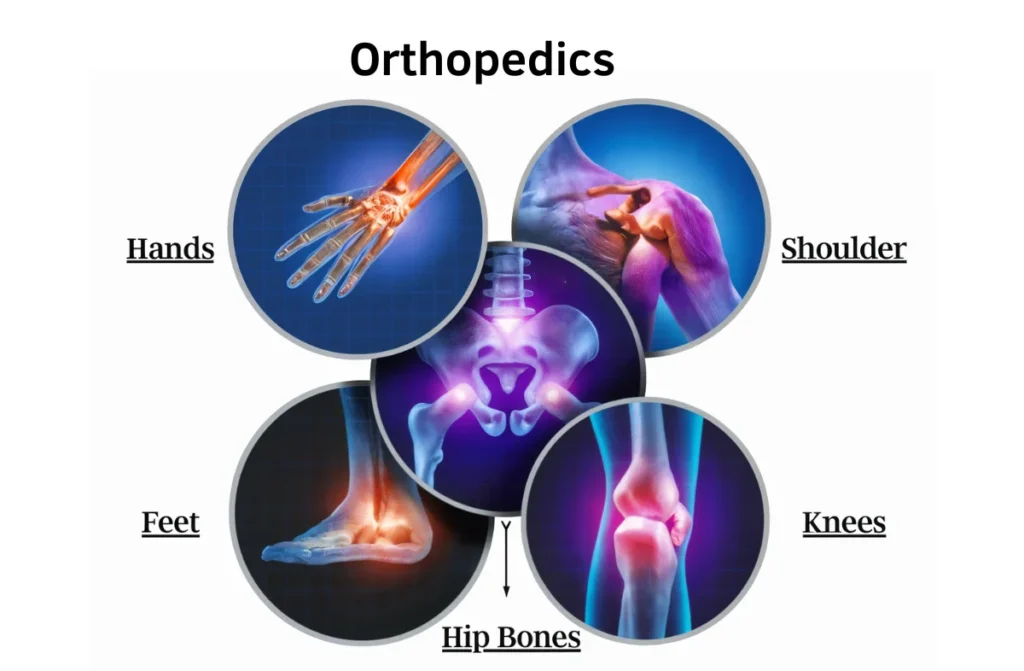 Best Orthopedic Surgeon in Chennai 1 Best Orthopedic Surgeon in Chennai